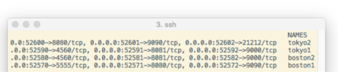 Volt Active Data - Listing all four containers in two clusters