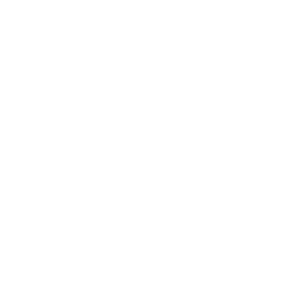 Etisalat logo