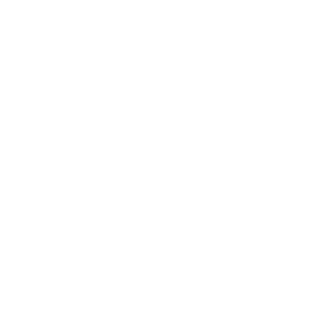 US Cellular logo