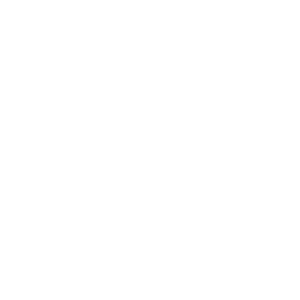 Sprint logo