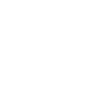 WDTS logo