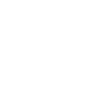 Visual IQ logo