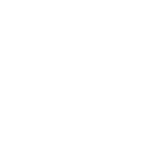 Connexity logo