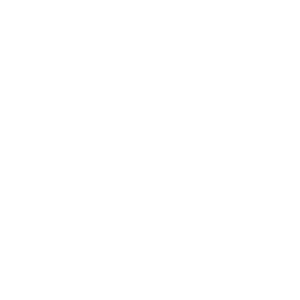 Wireless City Planning logo