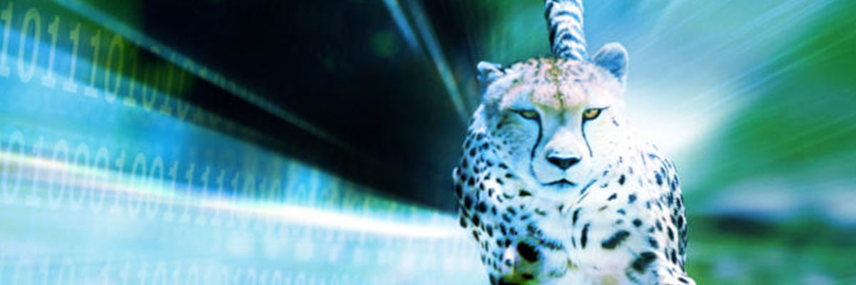 4 Sources of Latency and How to Avoid Them