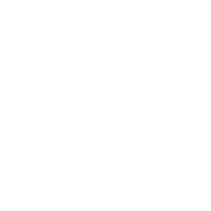 0004_Orange.png