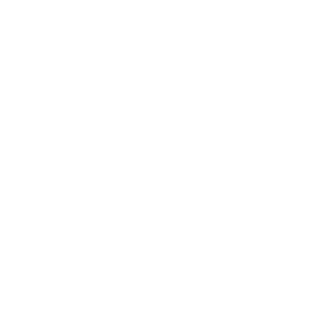 0055_HPE.png