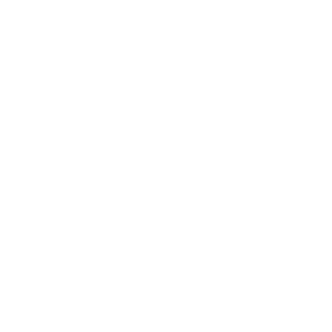 a_amdocs_white
