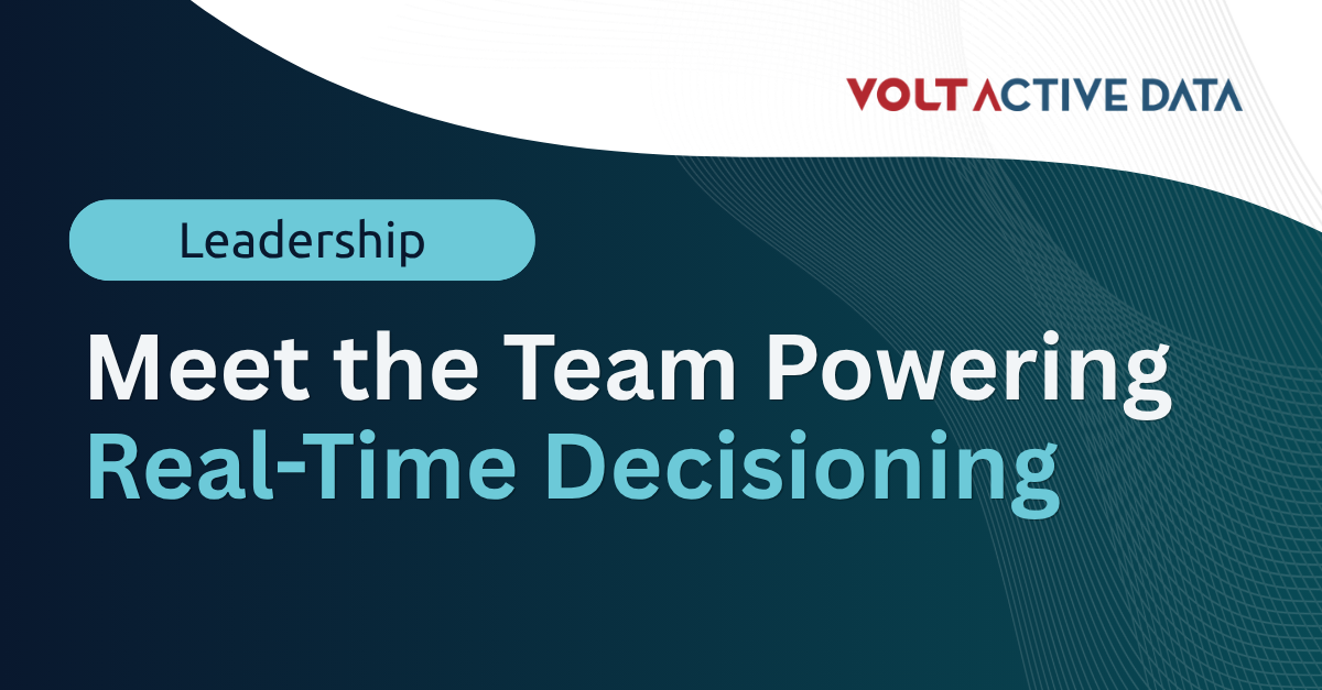 Leadership Team | Volt Active Data Executives & Board Members
